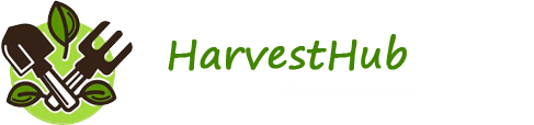 harvesthub-th.decorexpro.com