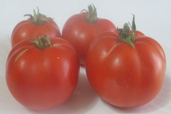 Quatre tomates