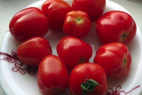 มะเขือเทศเชอร์รี่