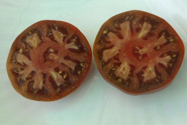 มะเขือเทศสุก