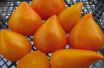 มะเขือเทศสีส้ม