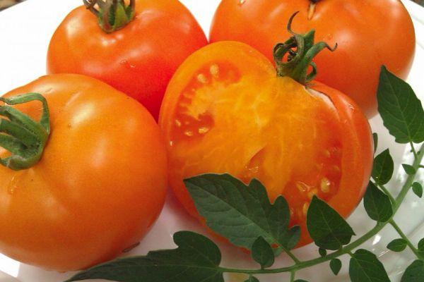 มะเขือเทศสุก