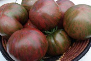 ลักษณะและลักษณะของมะเขือเทศ Berkeley Tie Dye