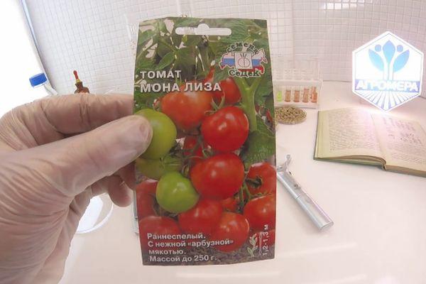 graines de tomates