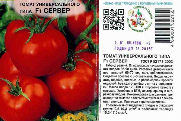 ลักษณะของมะเขือเทศ