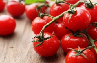 มะเขือเทศบาร์เบอร์รี่