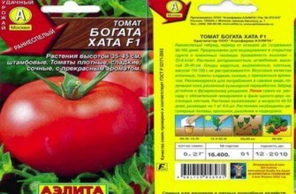 บ้านรวย