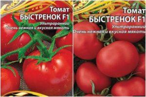 คำอธิบายและลักษณะของมะเขือเทศพันธุ์ Bystryonok f1 การเพาะปลูก