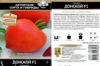 มะเขือเทศลูกผสม