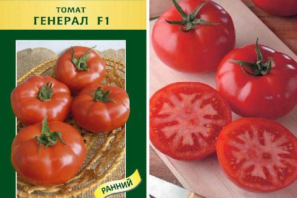 เมล็ดมะเขือเทศ