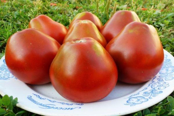 Tomates dans une assiette