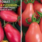 ลักษณะของมะเขือเทศ