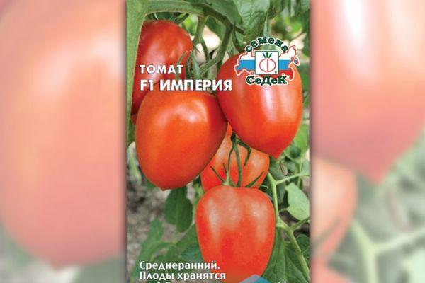 graines de tomates