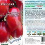 คำอธิบายของกะปิยะ