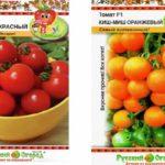 มะเขือเทศคีชมิช