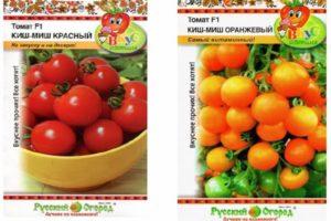 รายละเอียดของมะเขือเทศ Kishmish และลักษณะเฉพาะ ผลผลิต