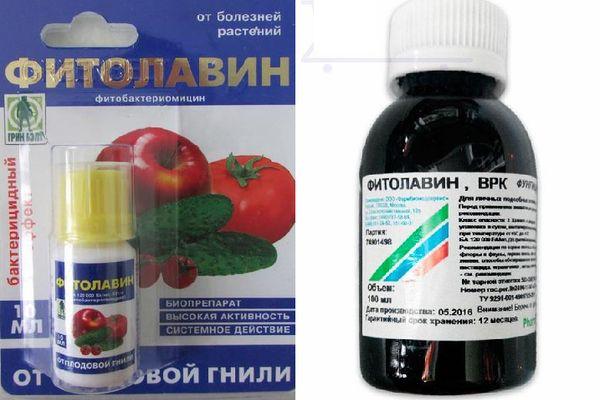 ยาฟิโตลาวิน