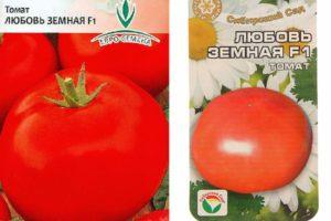 คำอธิบายและแนวทางการปลูกมะเขือเทศพันธุ์ Love Earthly F1