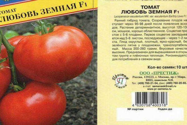 เมล็ดมะเขือเทศ