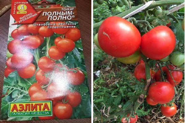 graines de tomates