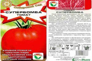 รายละเอียดของมะเขือเทศ Superbomb และลักษณะเด่น การเพาะปลูก