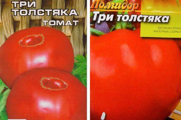 Tomate hybride