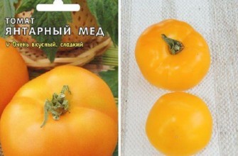 น้ำผึ้งอำพัน