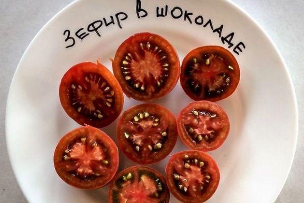 เนื้อมะเขือเทศ