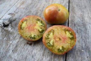 คำอธิบายพันธุ์มะเขือเทศสับปะรดดำและคำแนะนำในการปลูก