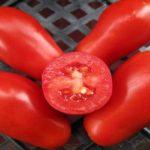 มะเขือเทศมอสโกอันโอชะ