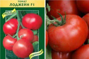 Caractéristiques de la variété de tomate Lojane et règles de culture