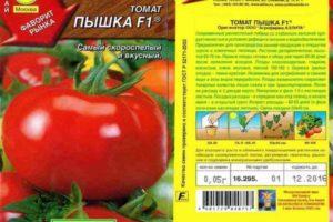 คำอธิบายของมะเขือเทศลูกผสมพันธุ์ Pyshka f1 และลักษณะเด่นของมัน