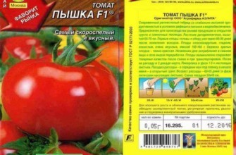 มะเขือเทศพองฟู