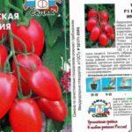 มะเขือเทศลูกผสม