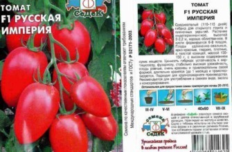 มะเขือเทศลูกผสม