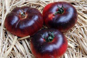 คำอธิบายเกี่ยวกับมะเขือเทศสีม่วง Amethyst Jewel และเทคนิคการเพาะปลูก