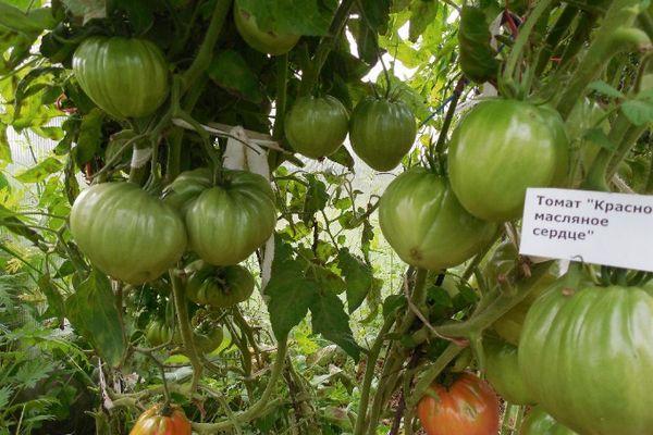 หัวใจเนย