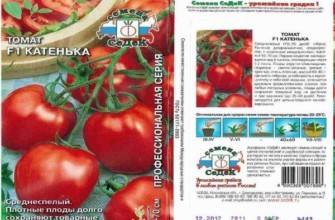 ลักษณะของมะเขือเทศ