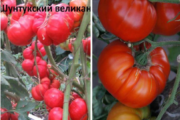 ยักษ์ชุนทัก