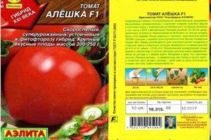 Description de la tomate Aleshka, règles de culture et de plantation de la variété hybride