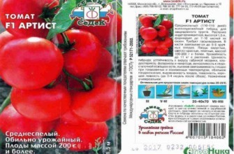 ลักษณะของมะเขือเทศ