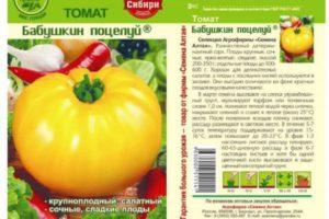 คำอธิบายเกี่ยวกับมะเขือเทศพันธุ์ Grandma's Kiss และคำแนะนำในการปลูก