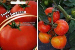 Description de la tomate Biathlon et recommandations de culture