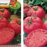 มะเขือเทศลูกผสม