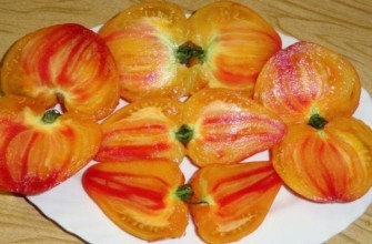 มะเขือเทศหั่นบาง