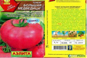 Description de la tomate géante Ursa Major et techniques de culture