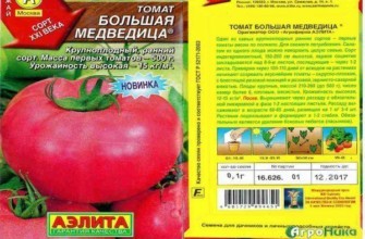 ลักษณะของมะเขือเทศ