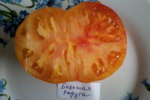 คำอธิบายมะเขือเทศบิ๊กเรนโบว์และคำแนะนำในการปลูก