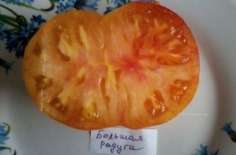 เนื้อมะเขือเทศ