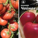 เมล็ดมะเขือเทศ